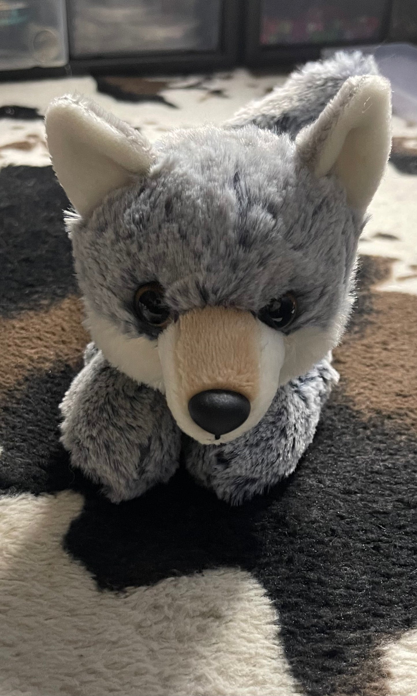 Coyote Cuddle Buddie