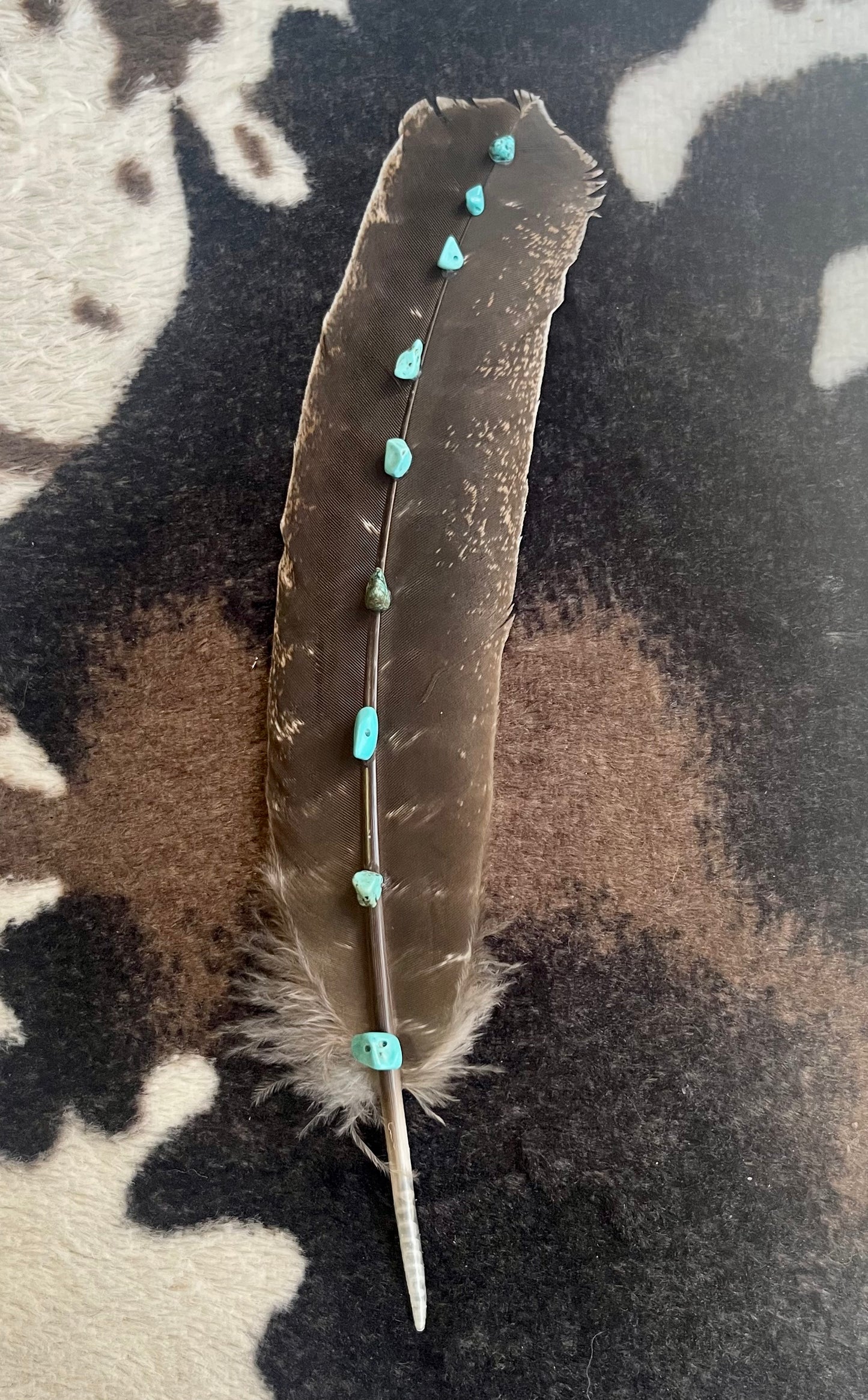 Hat Feathers