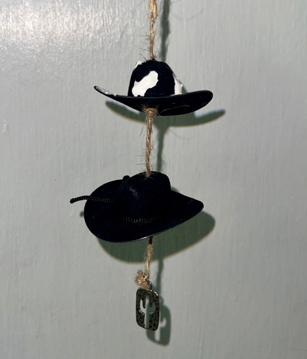 Car Rear View Hangers