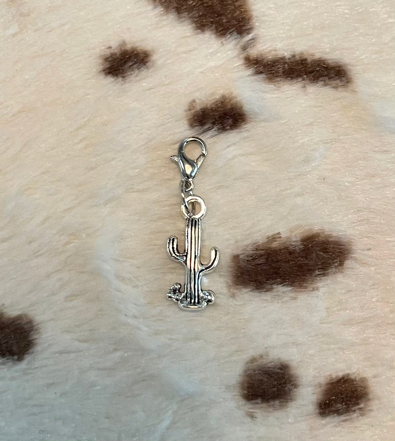 Wild West Charms(Separate Charms)