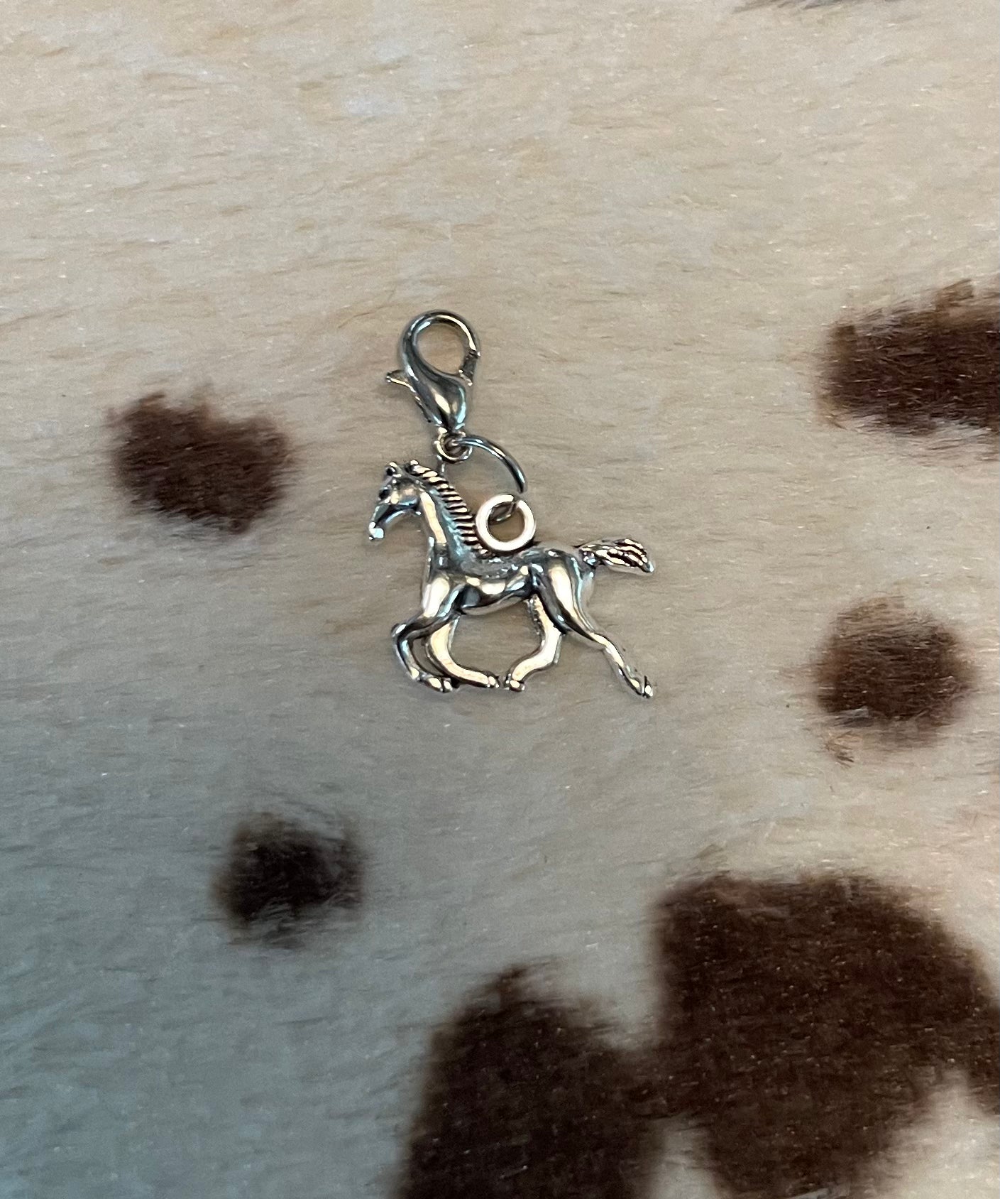 Wild West Charms(Separate Charms)