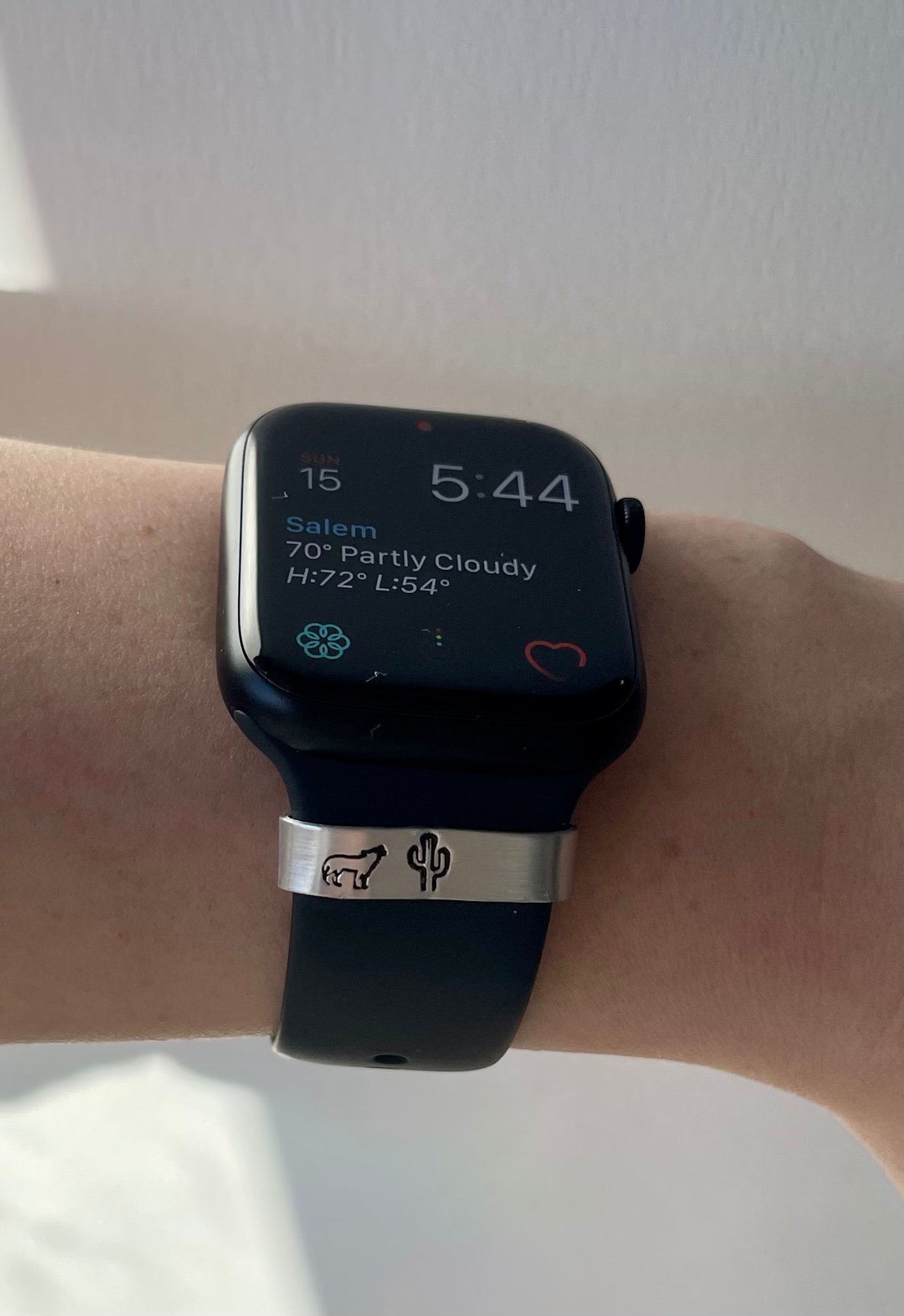 Apple Watch Bands